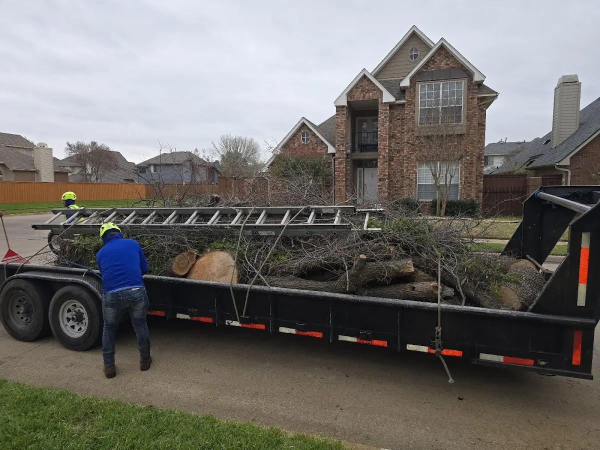 Expert Tree Pest Control with proper safety equipment in Powhatan